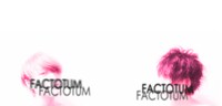 FACTOTUM