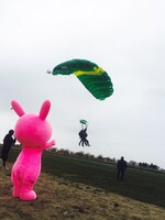 スカイダイビング中の様子。