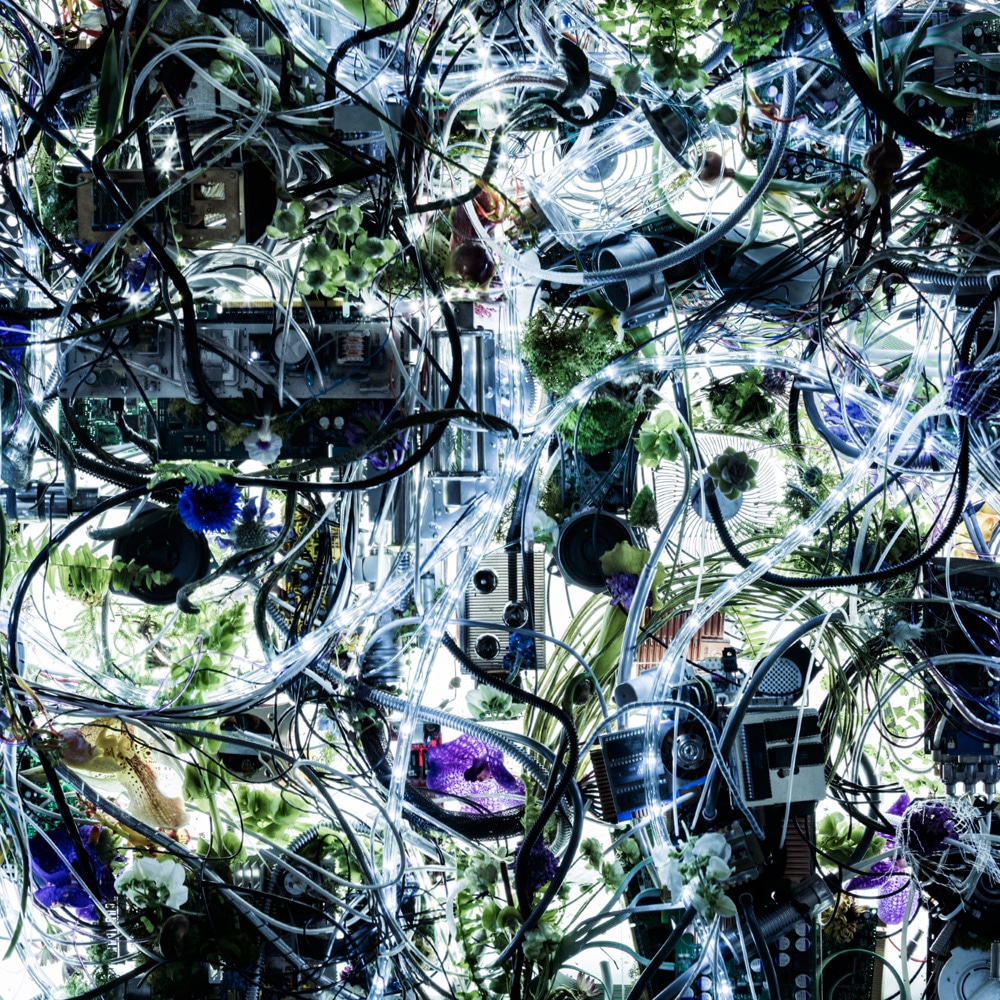 Aimer「ninelie EP」初回限定盤ジャケット