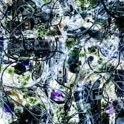 Aimer「ninelie」初回限定盤ジャケット