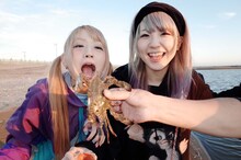 おやすみホログラム