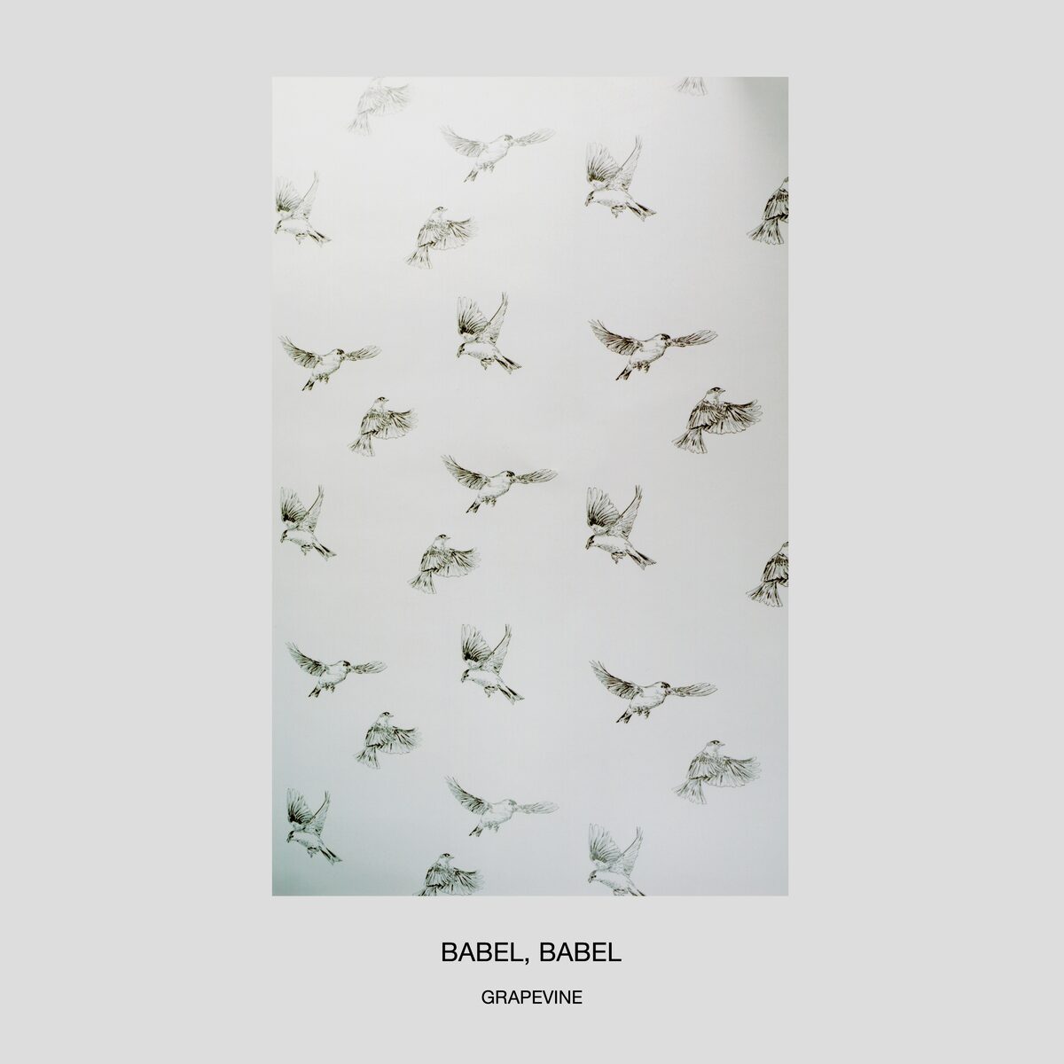 GRAPEVINE「BABEL,BABEL」アナログ盤ジャケット - GRAPEVINE最新 