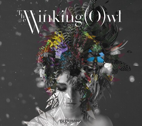 The Winking Owl「BLOOMING」ジャケット