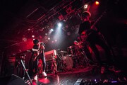 polly「ああ、それは、ひとのよう」の様子。(Photo by Daisuke Miyashita)
