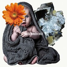 DOES「INNOCENCE」ジャケット