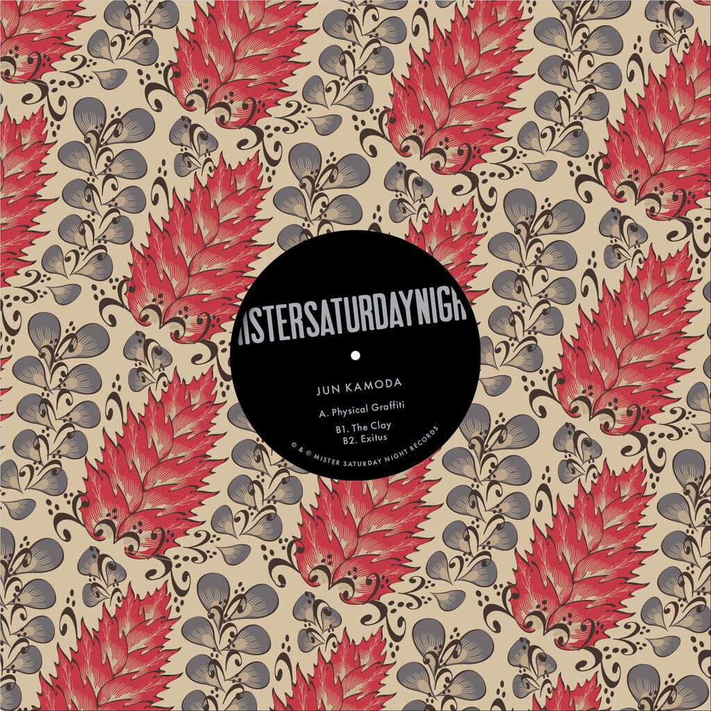 イルリメ、Jun Kamoda名義アナログを米レーベルから