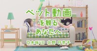 「SUUMO」のCM動画「ペット動画」編のワンシーン。
