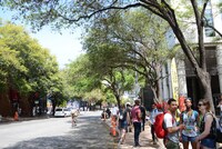 オースティン市内の様子。