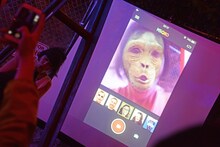 水曜日のカンパネラのライブの様子。