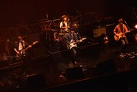 NICO Touches the Walls