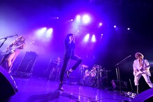 女王蜂（撮影：釘野孝宏）