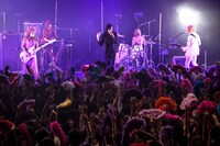 女王蜂（撮影：釘野孝宏）