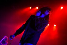 アヴちゃん（Vo / 女王蜂）（撮影：釘野孝宏）