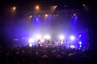 女王蜂（撮影：釘野孝宏）