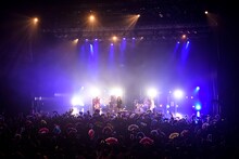 女王蜂（撮影：釘野孝宏）