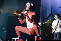 猿になったヤマサキセイヤ（Vo, G）。（撮影：丹部美咲）