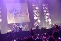 UNISON SQUARE GARDEN