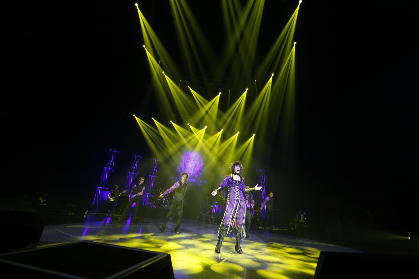 「LIVE THE ROCK!! 2015～BEST DISPLAY for YOU～」千葉・舞浜アンフィシアター公演の様子。
