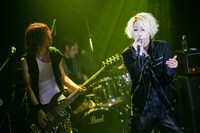 GLOWS（撮影：にしゆきみ）