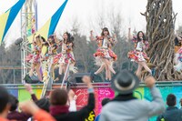 「74億分の1の君へ」ミュージックビデオのワンシーン。(c)AKS