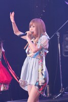 七星ぐみ（Photo  by Ryota Mori）