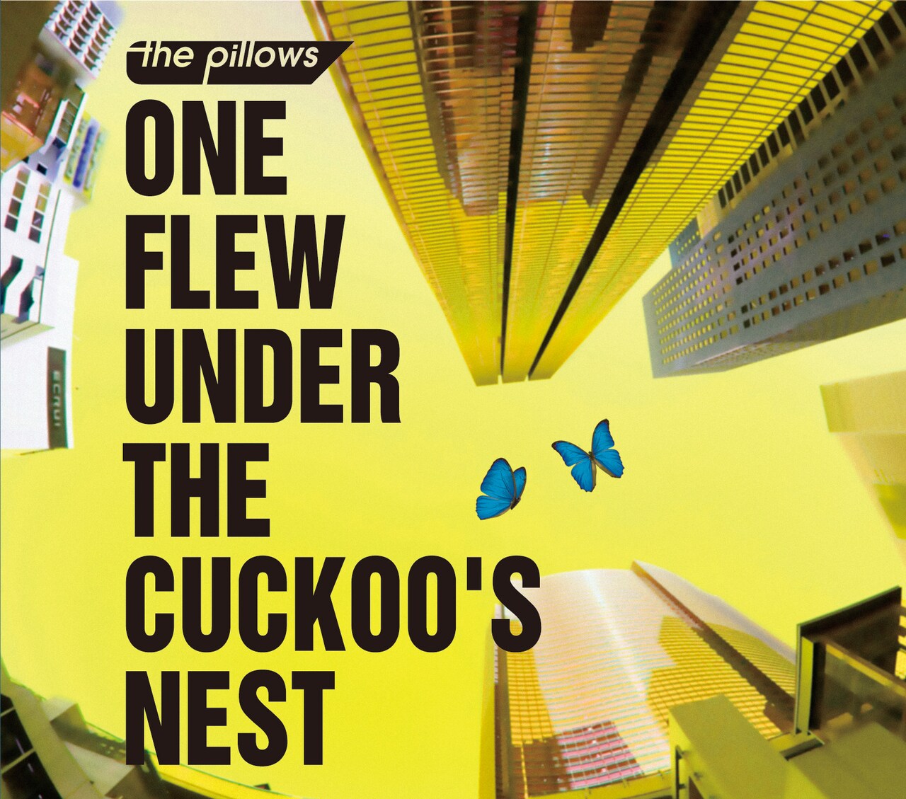 the pillows「カッコーの巣の下で」ジャケット