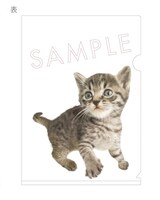 HARUHI「ひずみ」購入特典クリアファイル表面