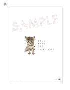 HARUHI「ひずみ」購入特典クリアファイル裏面