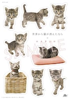 HARUHI「ひずみ」購入特典ステッカーシート