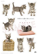 HARUHI「ひずみ」購入特典ステッカーシート