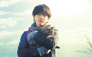 映画「世界から猫が消えたなら」ビジュアル (c)2016 映画「世界から猫が消えたなら」製作委員会