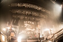 SUPER BEAVER「SUPER BEAVER10周年記念〆『都会のラクダSP ～スーパーフィーバー～』」東京・Zepp DiverCity TOKYO公演の様子。（撮影：青木カズロー）