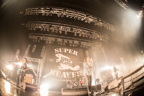 SUPER BEAVER「SUPER BEAVER10周年記念〆『都会のラクダSP ～スーパーフィーバー～』」東京・Zepp DiverCity TOKYO公演の様子。（撮影：青木カズロー）