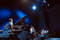 コトリンゴ（撮影：南賢太郎）