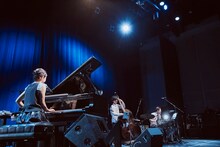 コトリンゴ（撮影：南賢太郎）