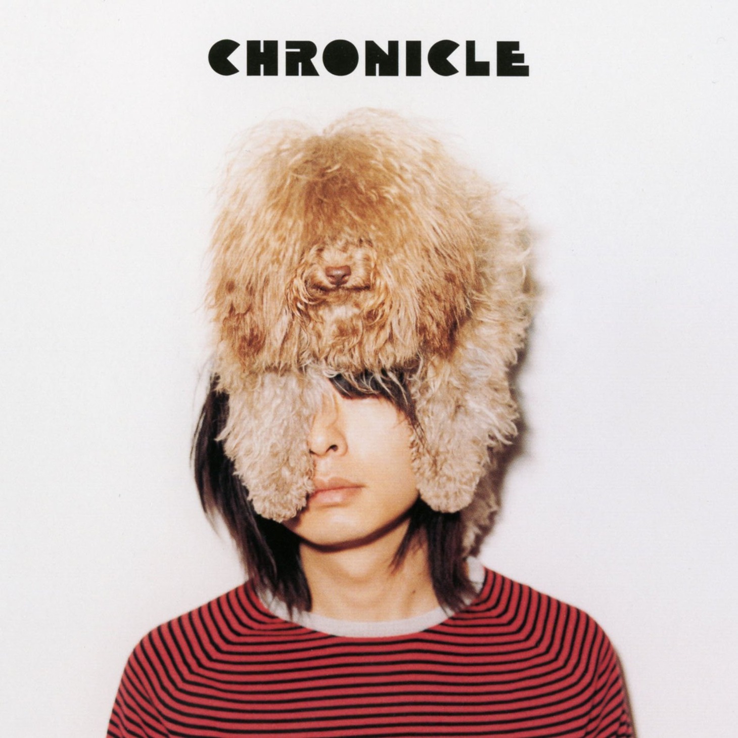 フジファブリック「CHRONICLE」ジャケット