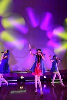 Cupitronによるライブパフォーマンスの様子。