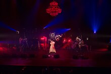 4月16日に東京・中野サンプラザホールで開催されたEGO-WRAPPIN' AND THE GOSSIP OF JAXX「J-WAVE “ACOUSTIC COUNTY” SPECIAL LIVE EGO-WRAPPIN' “ROUTE 20 HIT THE ROAD”」 の様子。 （撮影：仁礼博）