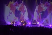 TK from 凛として時雨（撮影：河本悠貴）