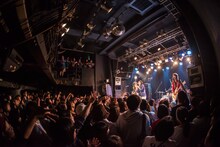 黒猫チェルシー（Photo by Ohagi）