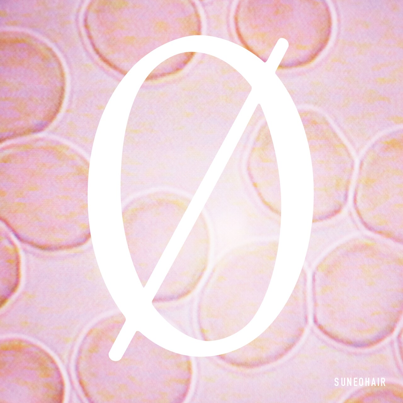 スネオヘアー新作詳細、箭内道彦アートワーク公開