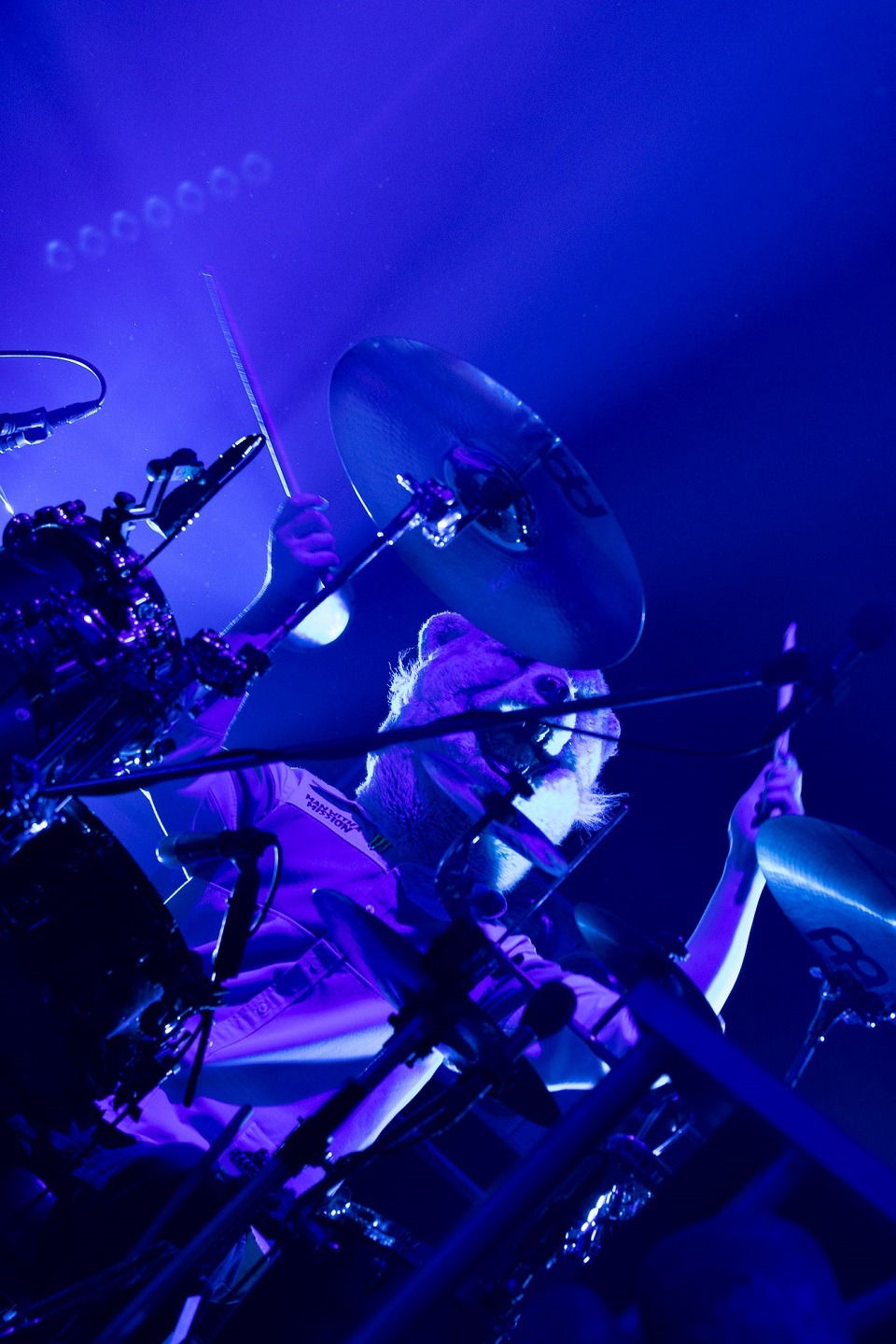Spear Rib（Dr）（Photo by Daisuke Sakai[FYD inc.]）