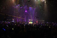 たこやきレインボーのライブの様子。（写真提供：avex trax）