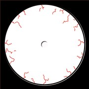 group_inou アナログ7inch「EYE」ジャケット