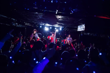 藤岡みなみ&ザ・モローンズのライブの様子。(撮影:勝永裕介)