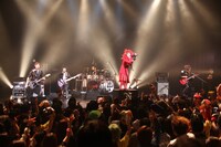 NoGoD（Photo by SUSIE）