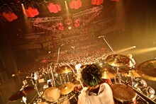 グッドモーニングアメリカ「グッドモーニングアメリカ TOUR 2016」東京・新木場STUDIO COAST公演の様子。（撮影：佐藤広理）