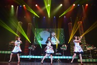 Negicco