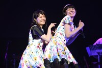 Nao☆（左）につつかれるMegu（右）。