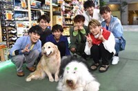 人気画像9位は「超特急『トレタリ』次回放送で初のロケへ、動物とふれあい＆料理に挑戦」より、超特急。